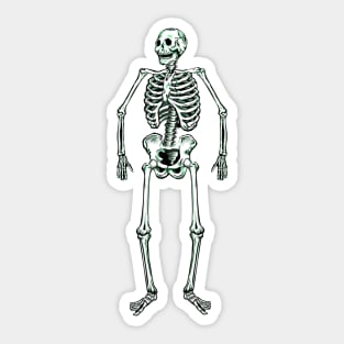 Retro Halloween Decor Skeleton Sticker